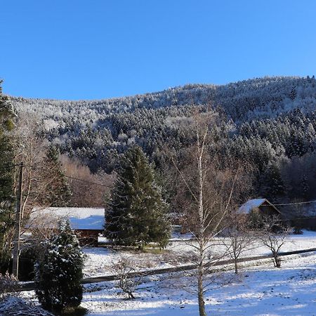 Gite Le Clos Des Vosges Lejlighed Ban-sur-Meurthe-Clefcy Eksteriør billede